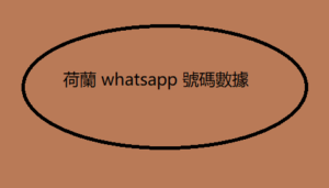 荷蘭 whatsapp 號碼數據 